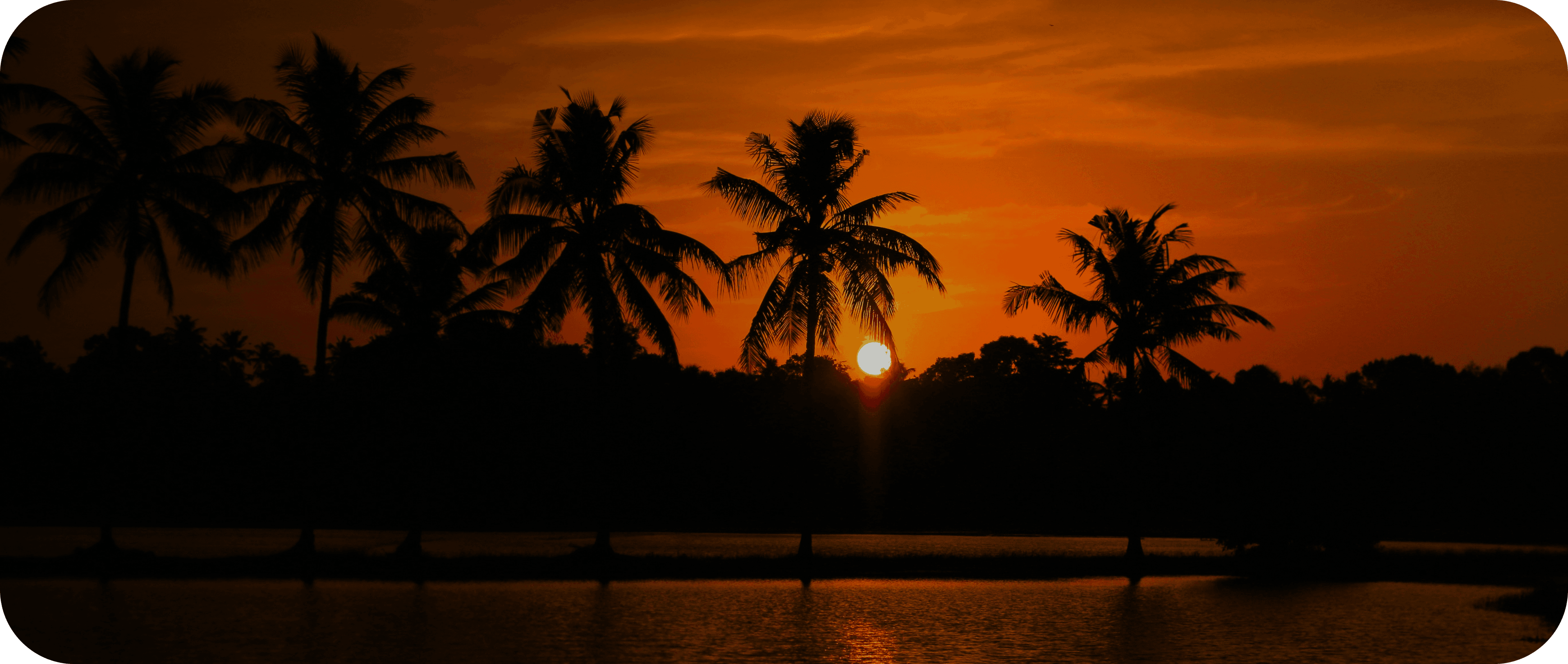Tropical sunset with palm trees